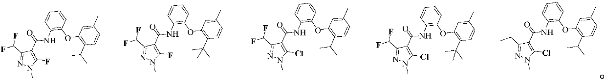 Amide compound and preparation method and application thereof