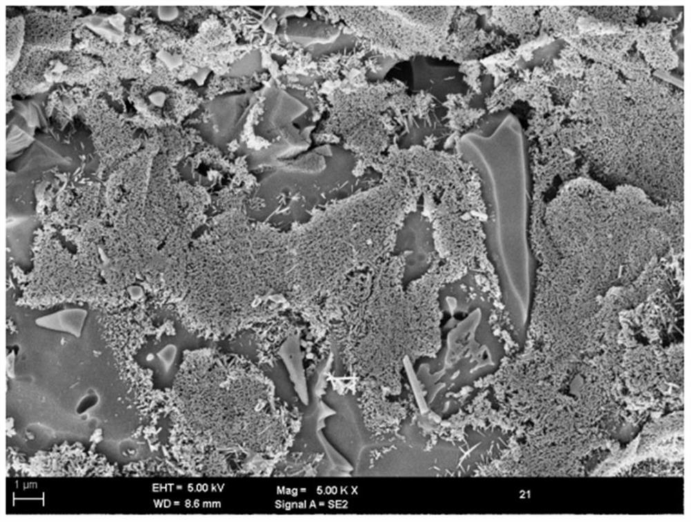 Ceramic green body, ceramic plate and preparation method of ceramic green body