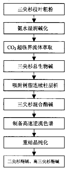 New method for extracting cephalotaxine and percephalotaxine