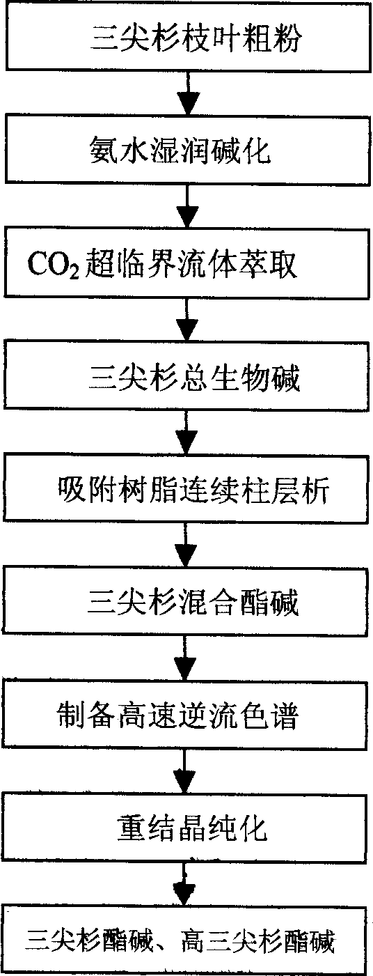 New method for extracting cephalotaxine and percephalotaxine