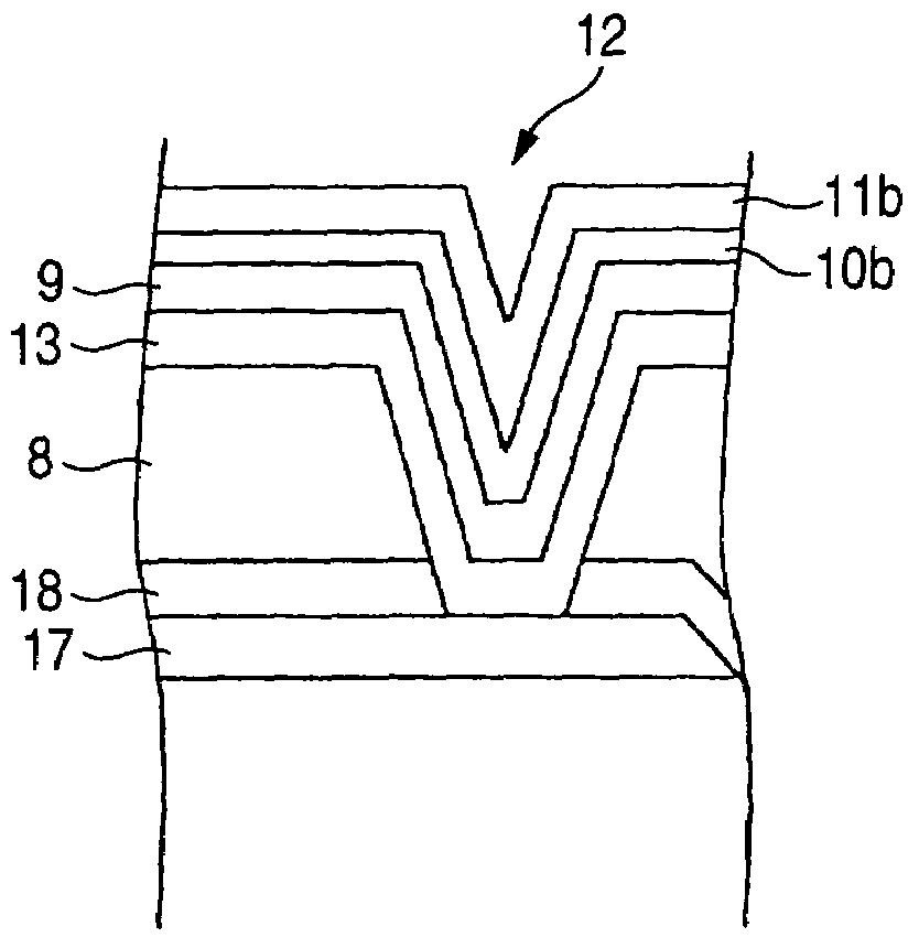 Display device and method with lower layer film formed on substrate but between transparent conductive film and organic layer and then protective film on the transparent film