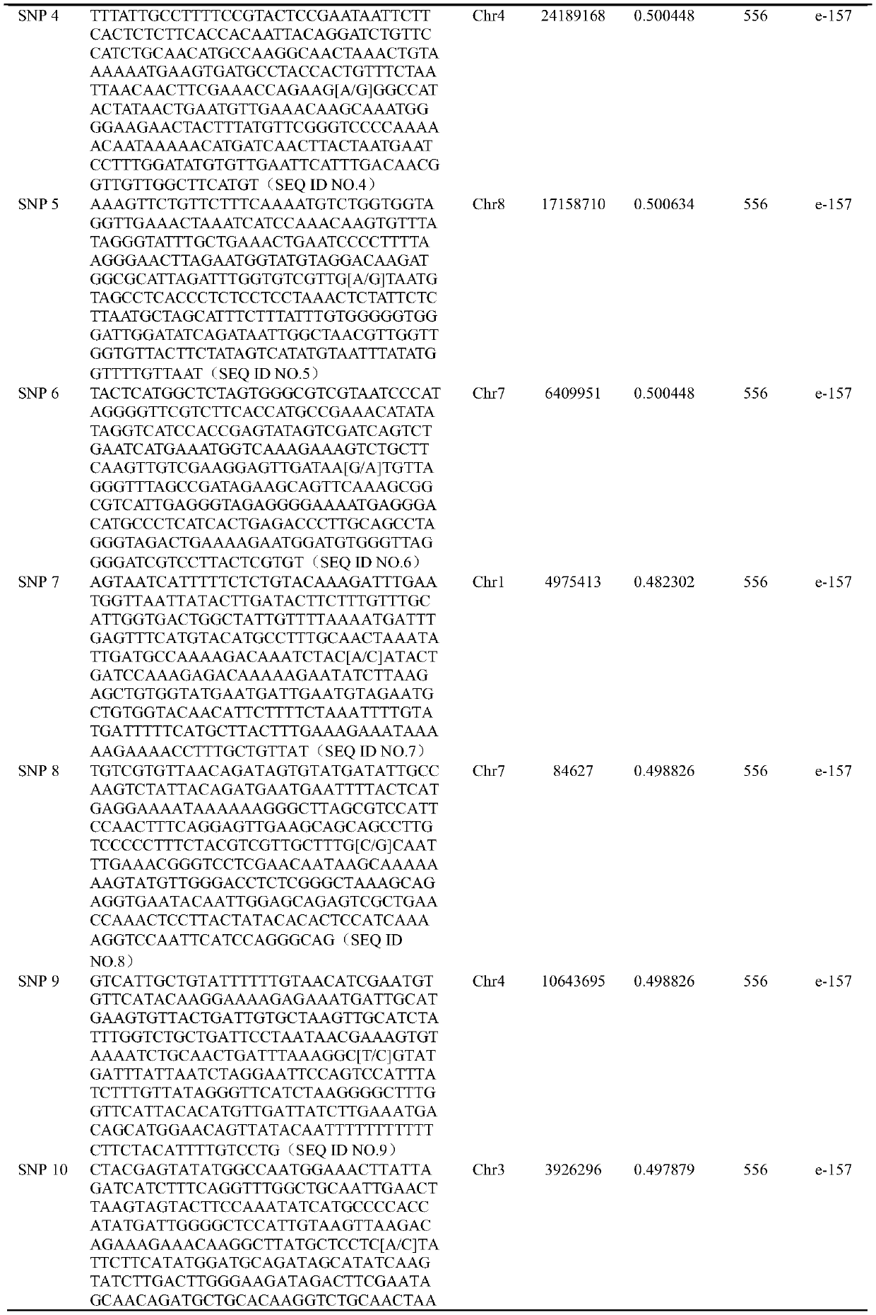 SNP molecular marker combination for constructing peach DNA fingerprint spectrum, application and method