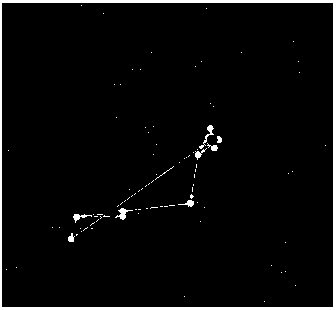 Stagnation point judging method based on home-work correspondence and time-space kernel clustering