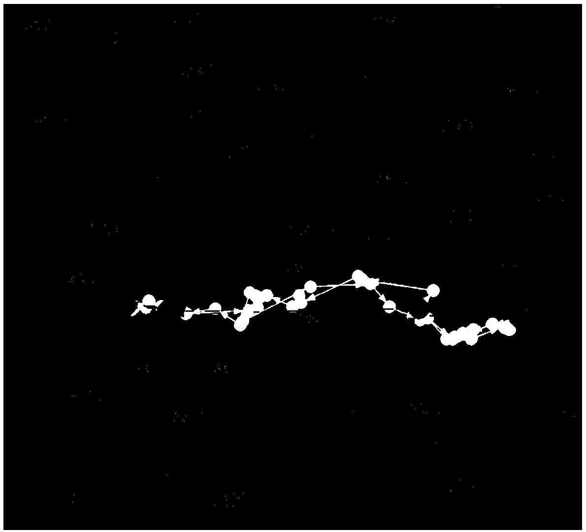 Stagnation point judging method based on home-work correspondence and time-space kernel clustering