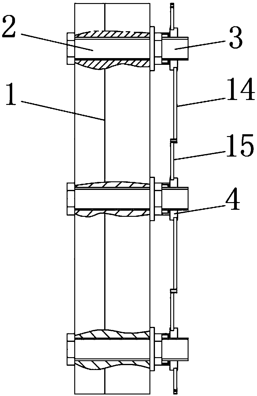 Bolt looseness preventing device