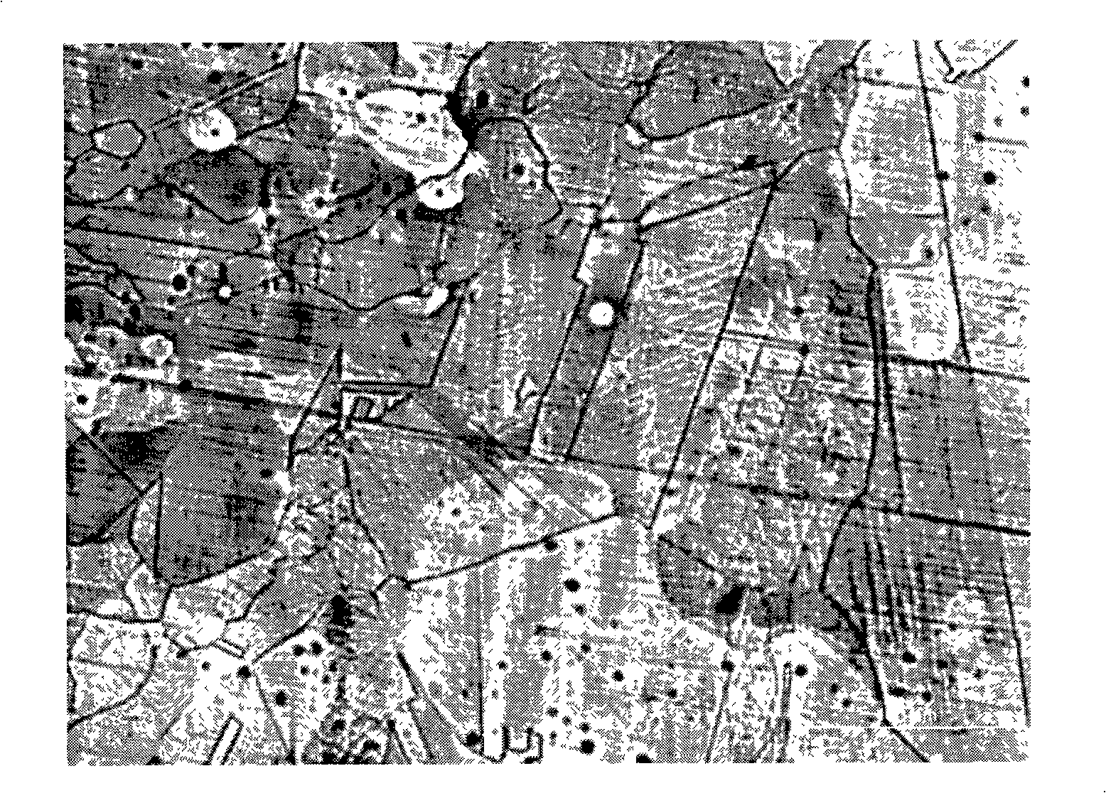 Method for preparing high nitrogen and nickel-less austenitic stainless steel