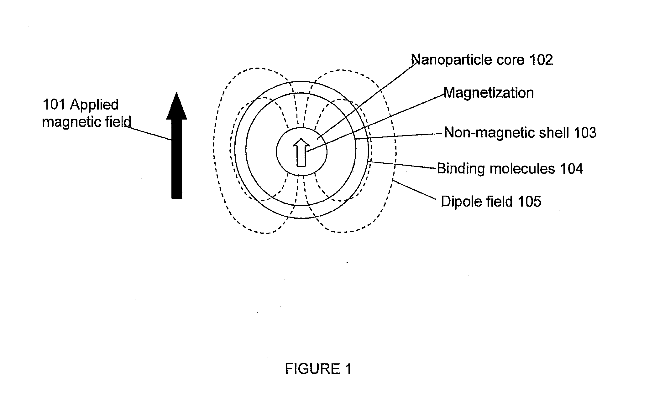 Magnetic resonance system and method to detect and confirm analytes