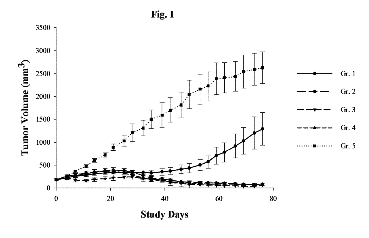 Metronomic Oral Gemcitabine for Cancer Therapy