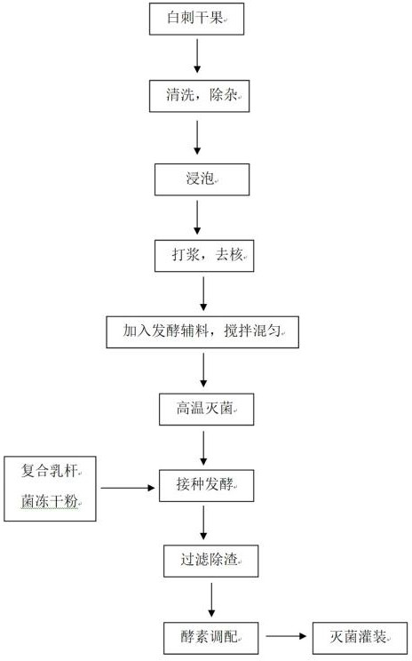 Nitraria tangutorum fruit ferment and preparation method thereof