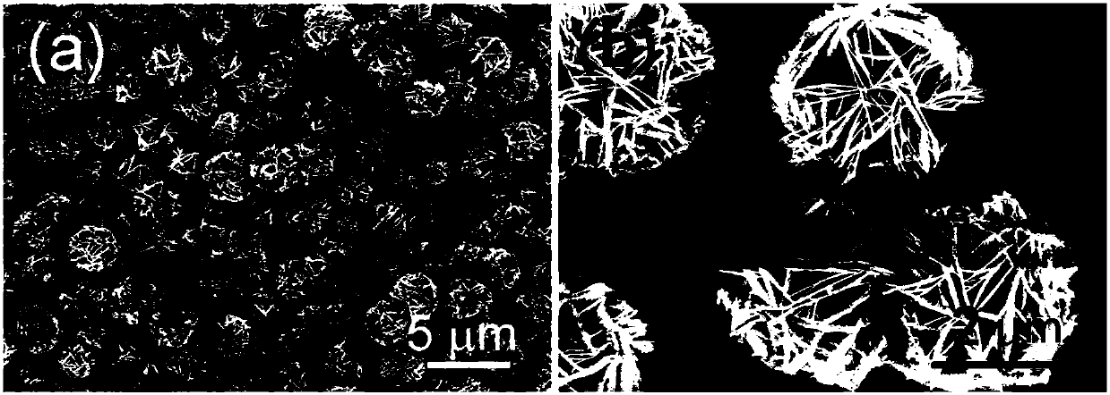 A kind of preparation method of flower-shaped copper sulfide-nitrogen methyl pyrrolidone dispersant