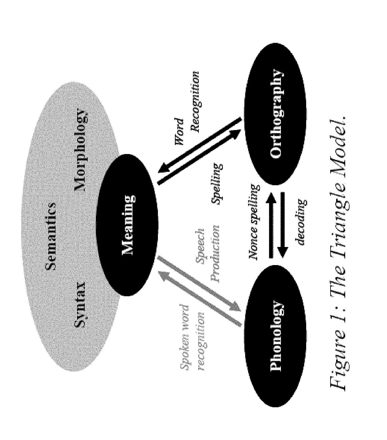 System and method for assessments of student deficiencies relative to rules-based systems, including but not limited to, ortho-phonemic difficulties to assist reading and literacy skills