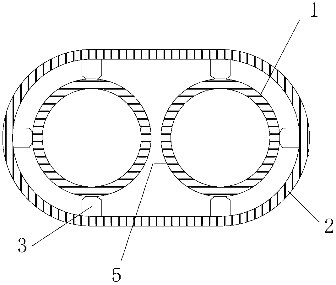 Thermal insulation dual-channel PP-R pipe