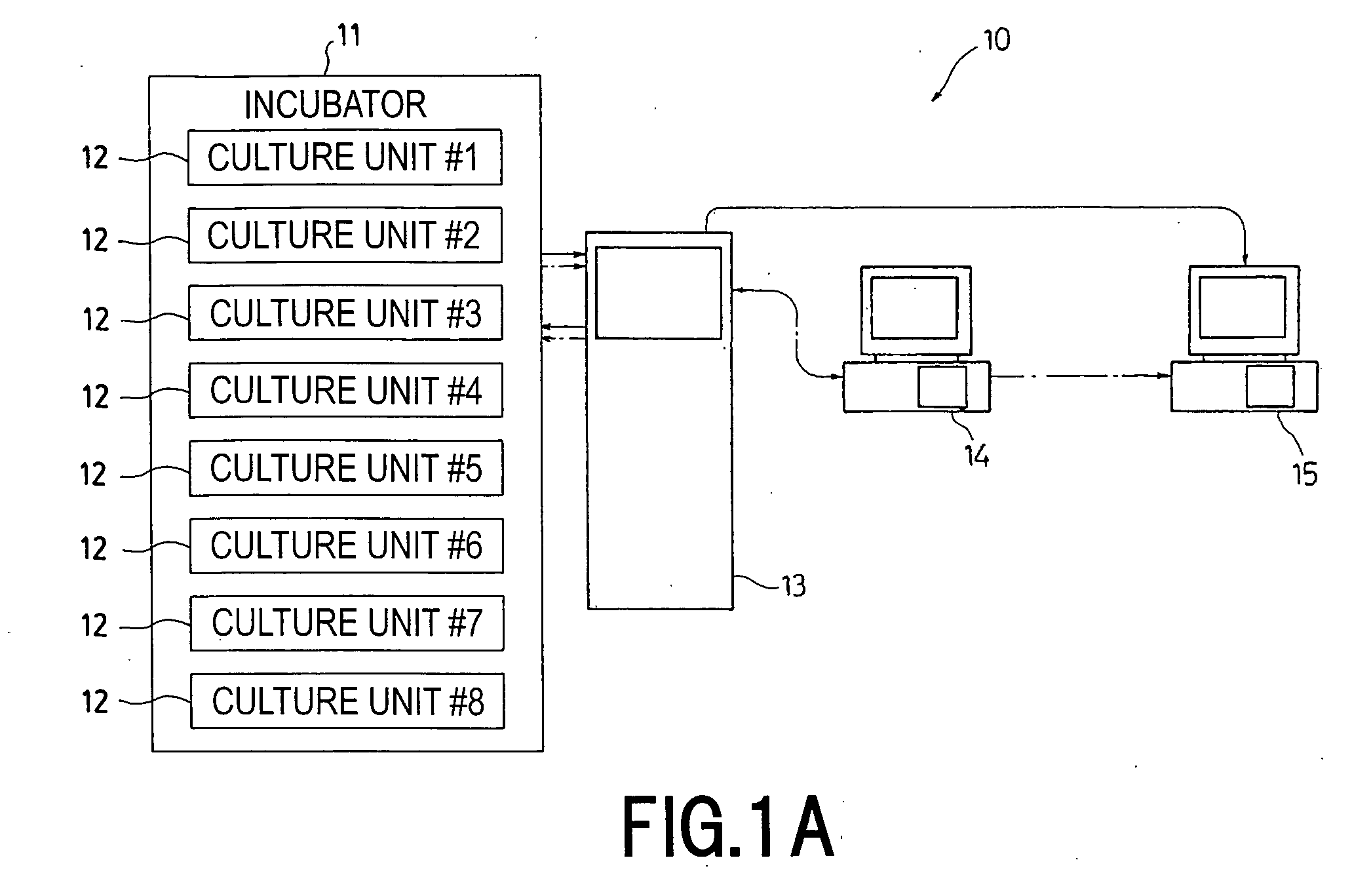 Cell Culture Apparatus, Cell Culture Method, Cell Culture Program and Cell Culture System