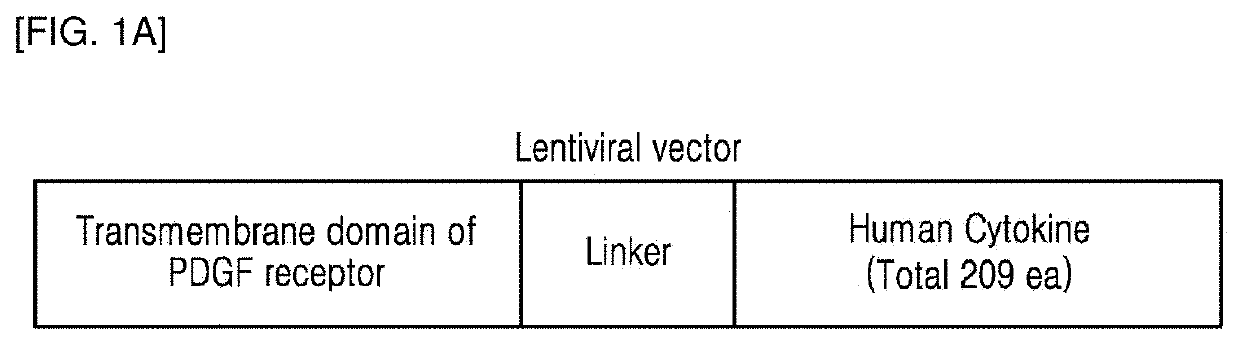 Cytokine fusion polypeptide and cytokine library comprising same