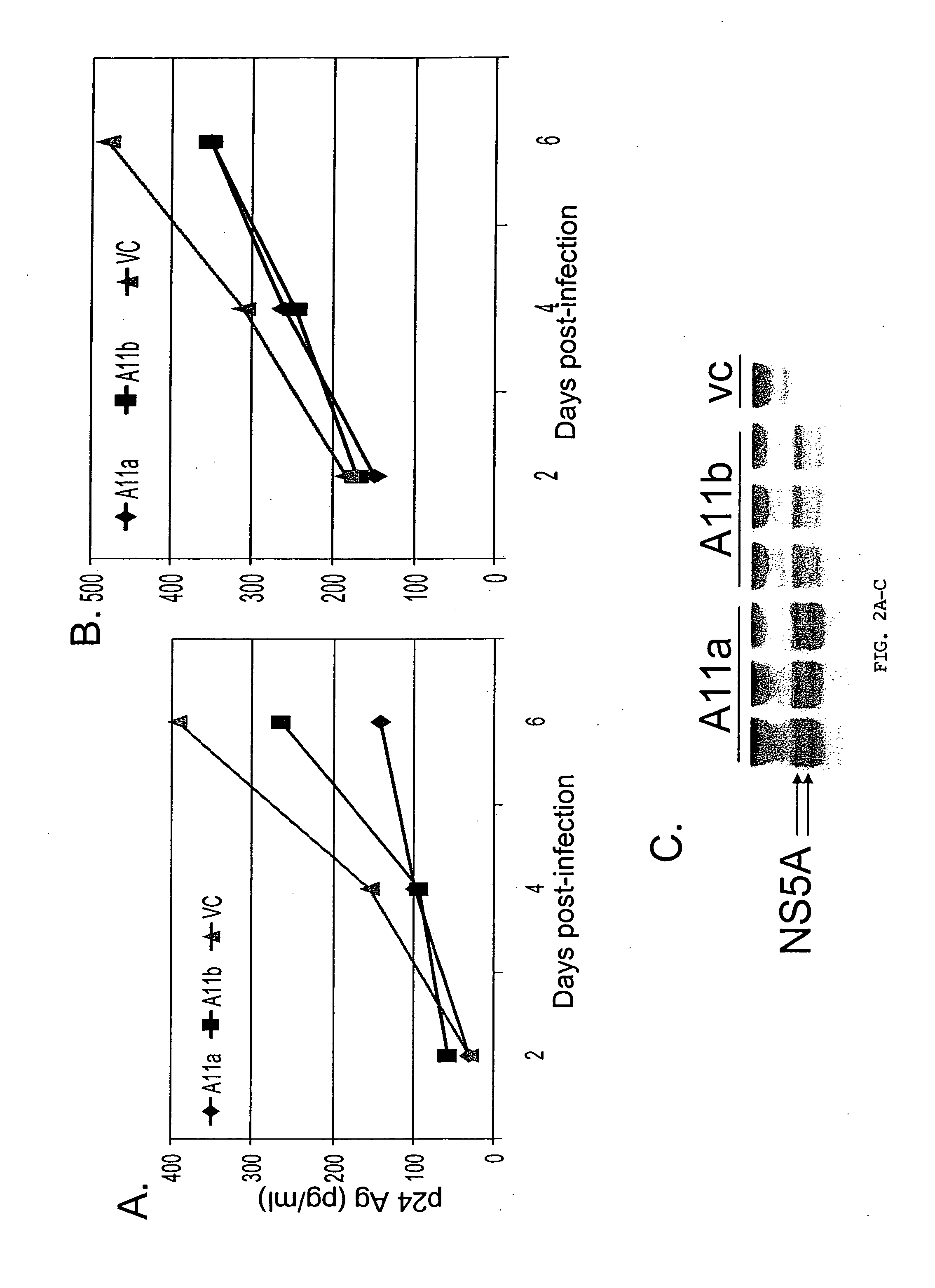 Flavivirus NS5A proteins for the treatment of HIV