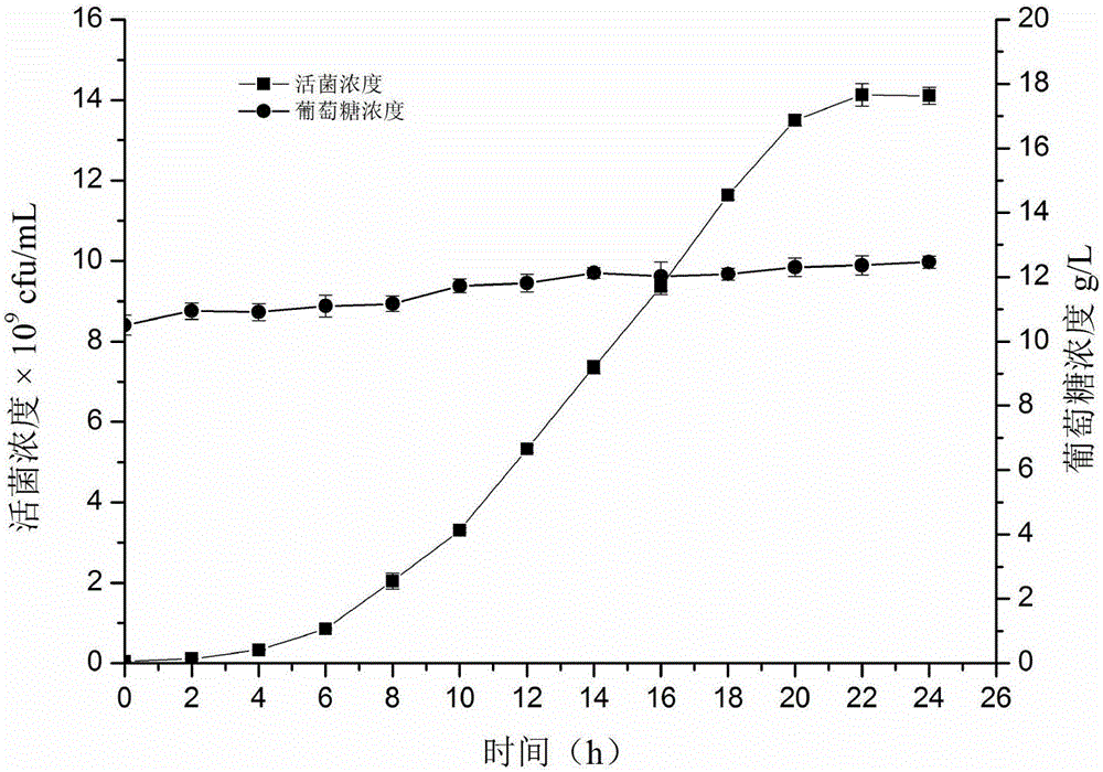 Automatic feedback supplementing method for high-density culture of lactic acid bacteria