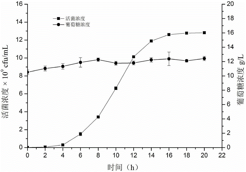 Automatic feedback supplementing method for high-density culture of lactic acid bacteria