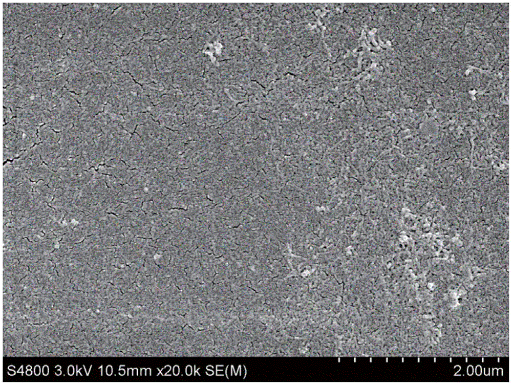 Hollow fiber composite nanofiltration membrane based on natural polymer and preparation method thereof