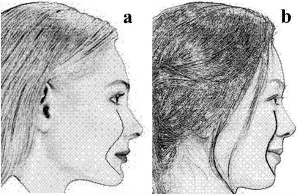 Method for assessing facial apparent ages and facial aging degrees and application thereof