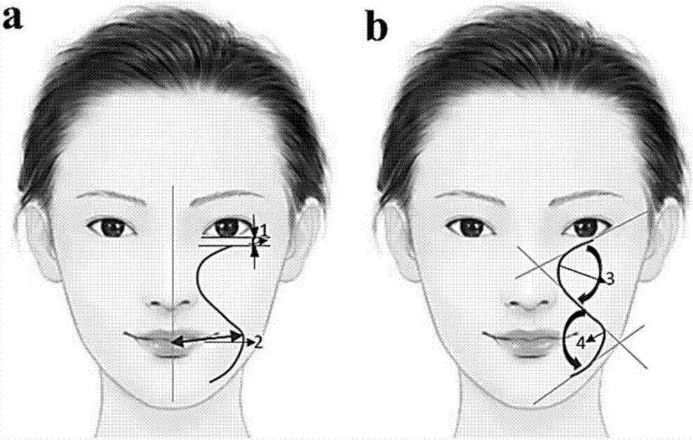 Method for assessing facial apparent ages and facial aging degrees and application thereof