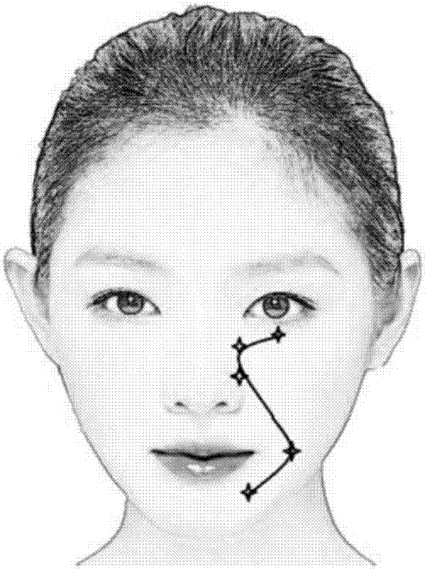 Method for assessing facial apparent ages and facial aging degrees and application thereof