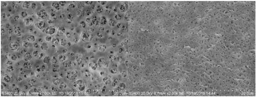 Chiral polyamide film and preparation method and application thereof