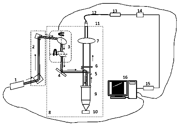 Multi-photon exited near-infrared II fluorescence lifetime micro-imaging system