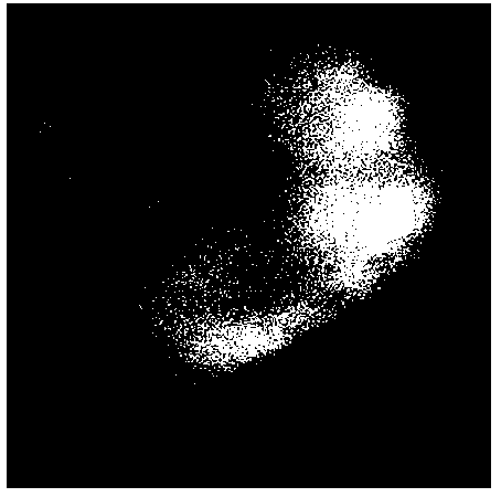 Multi-photon exited near-infrared II fluorescence lifetime micro-imaging system