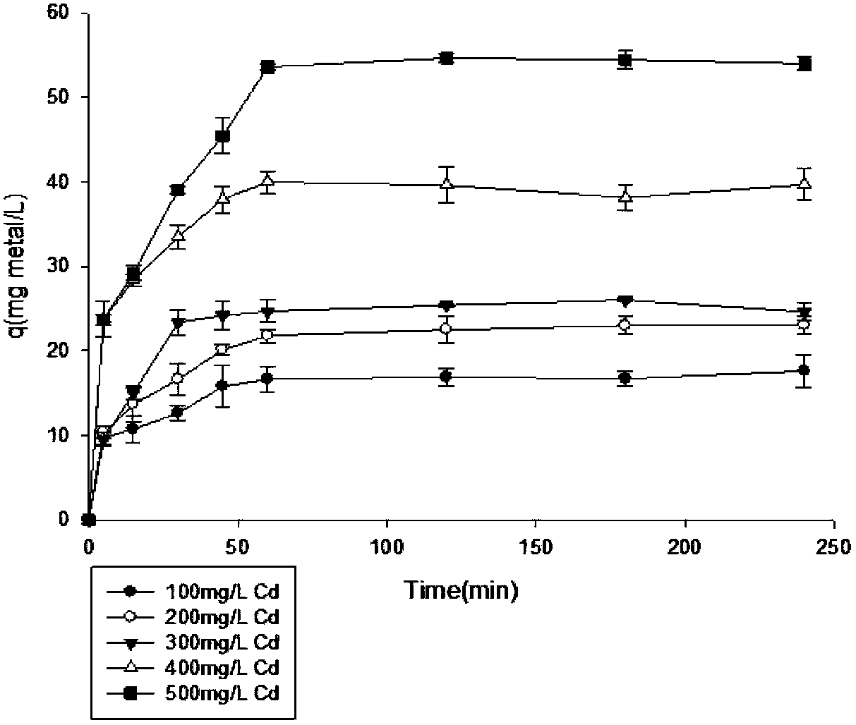 High-cadmium-adsorption filamentous fungi hair mold XLC as well as preparation method and application thereof