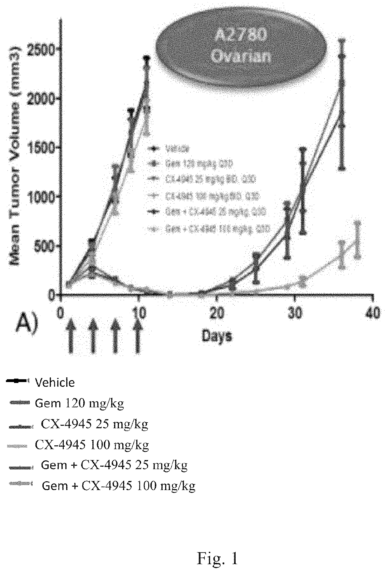 Combinations for immune-modulation in cancer treatment