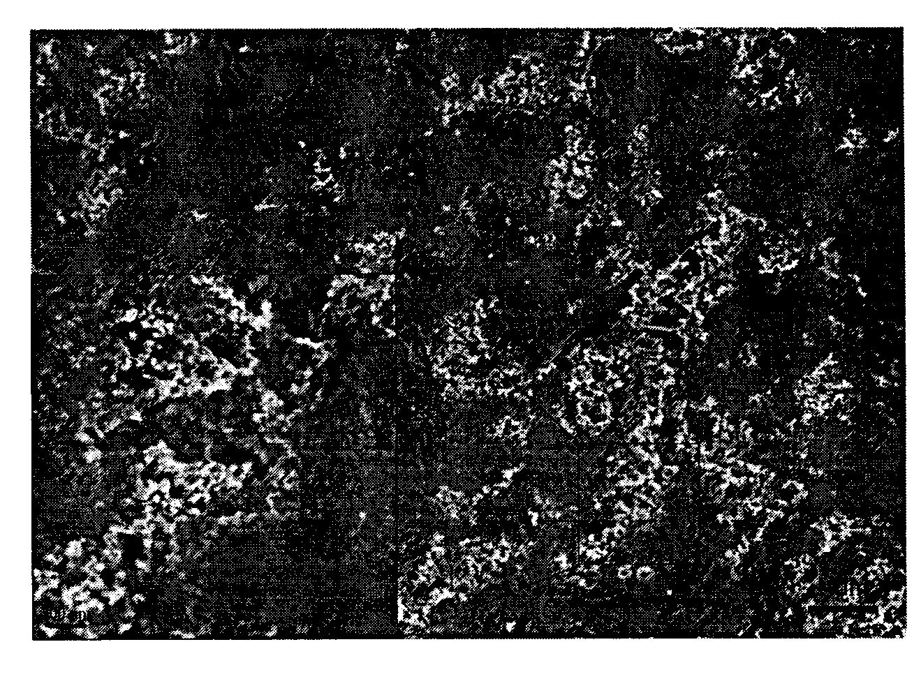 Mesoporous graphite/silicon dioxide composite counter electrode for dye sensitized solar cells and method for preparing mesoporous graphite/silicon dioxide composite counter electrode