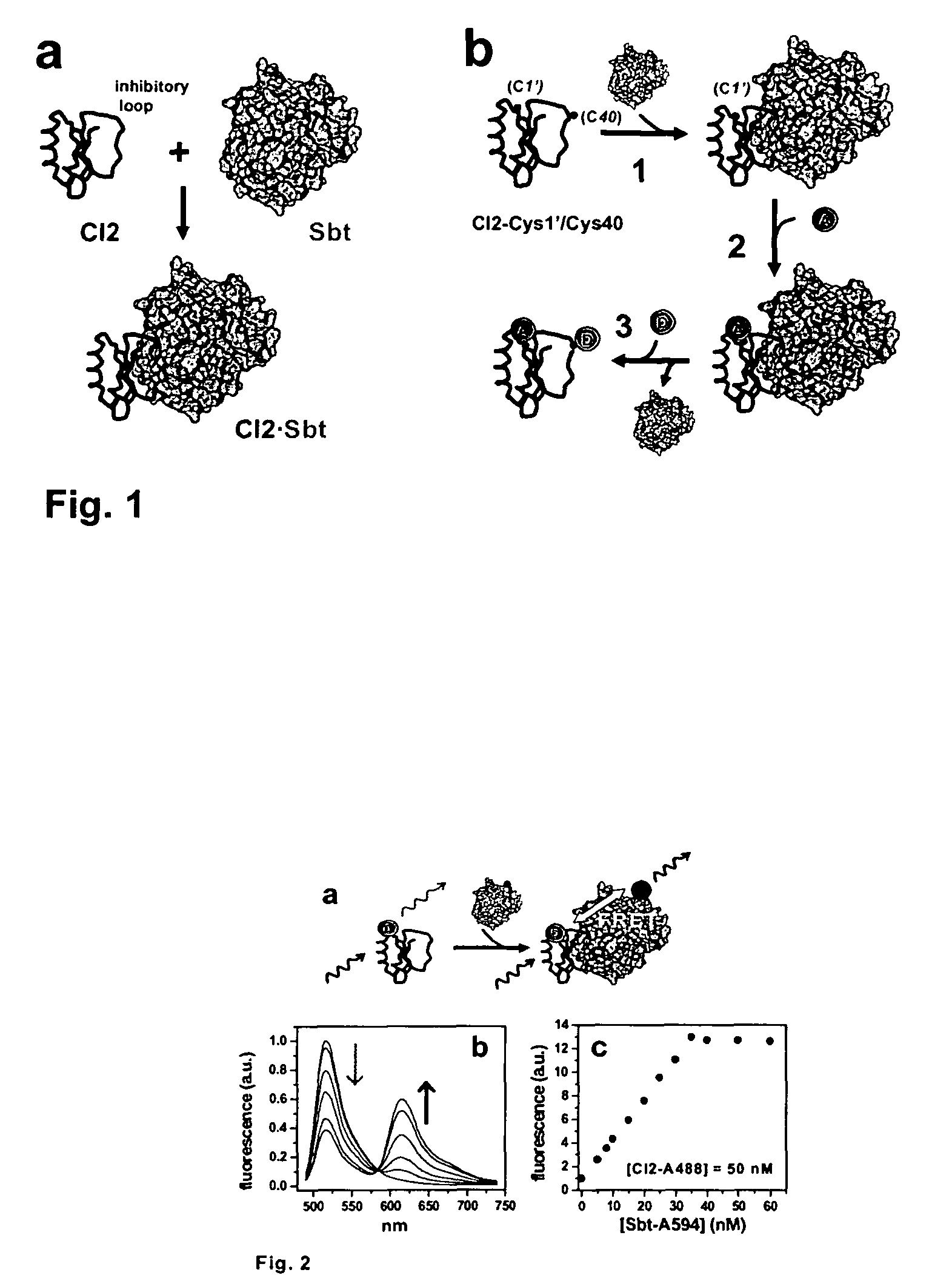 Method for site-specific protein modifications