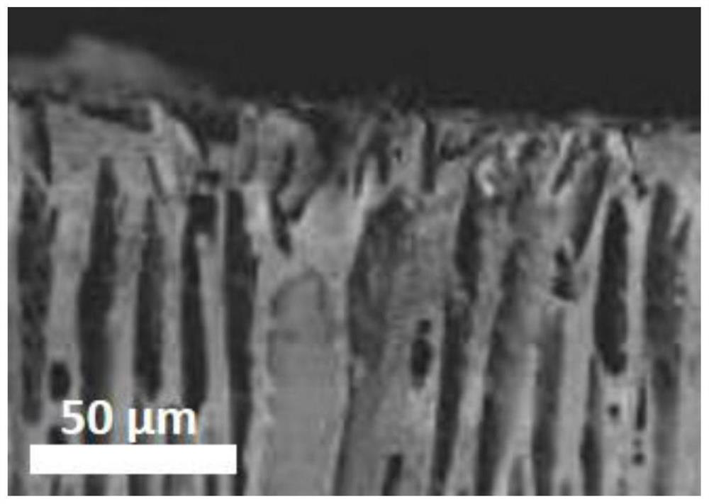 A porous film with vertical through channels, its manufacturing device and preparation method