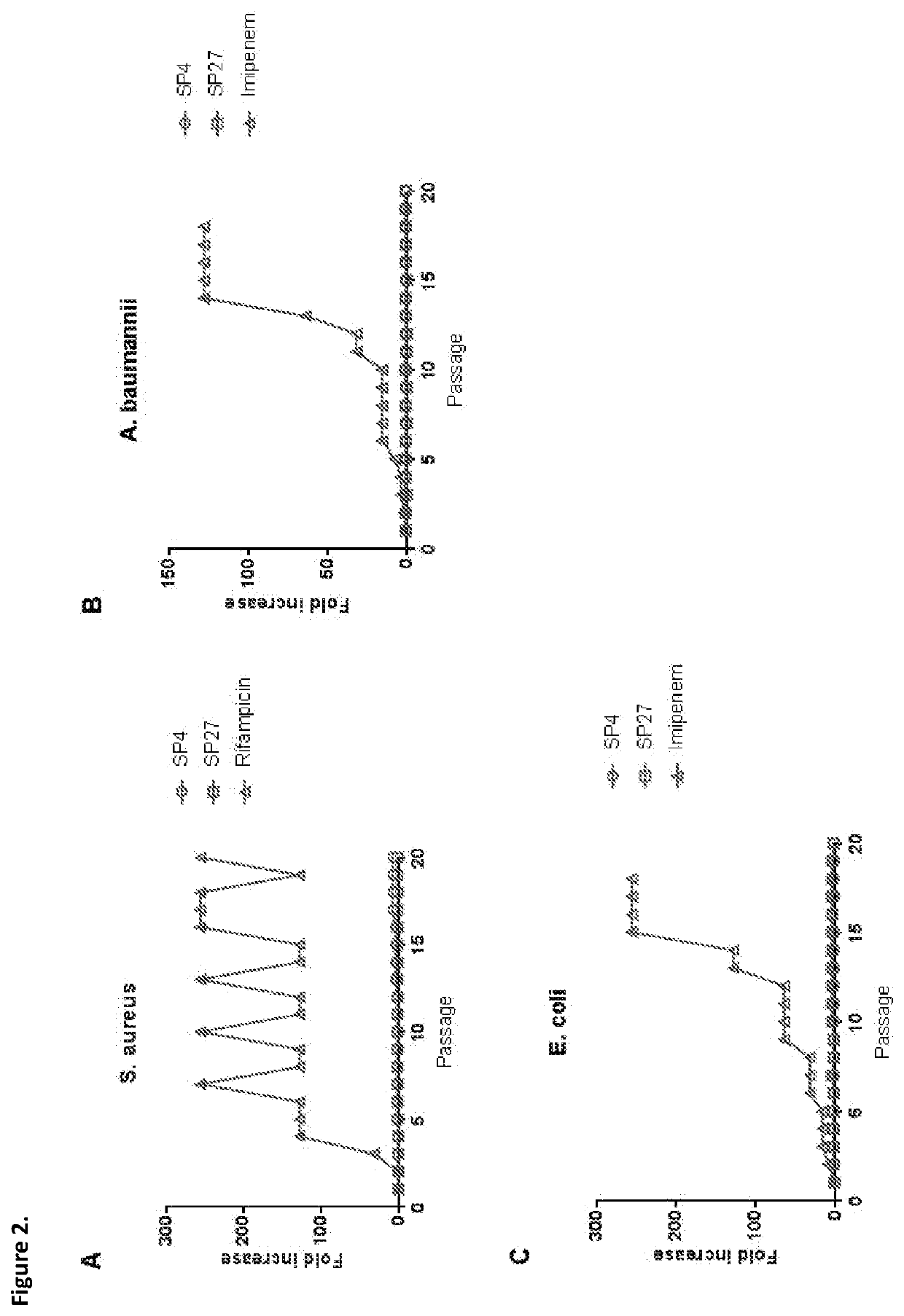 Bioactive peptides derived from snakes