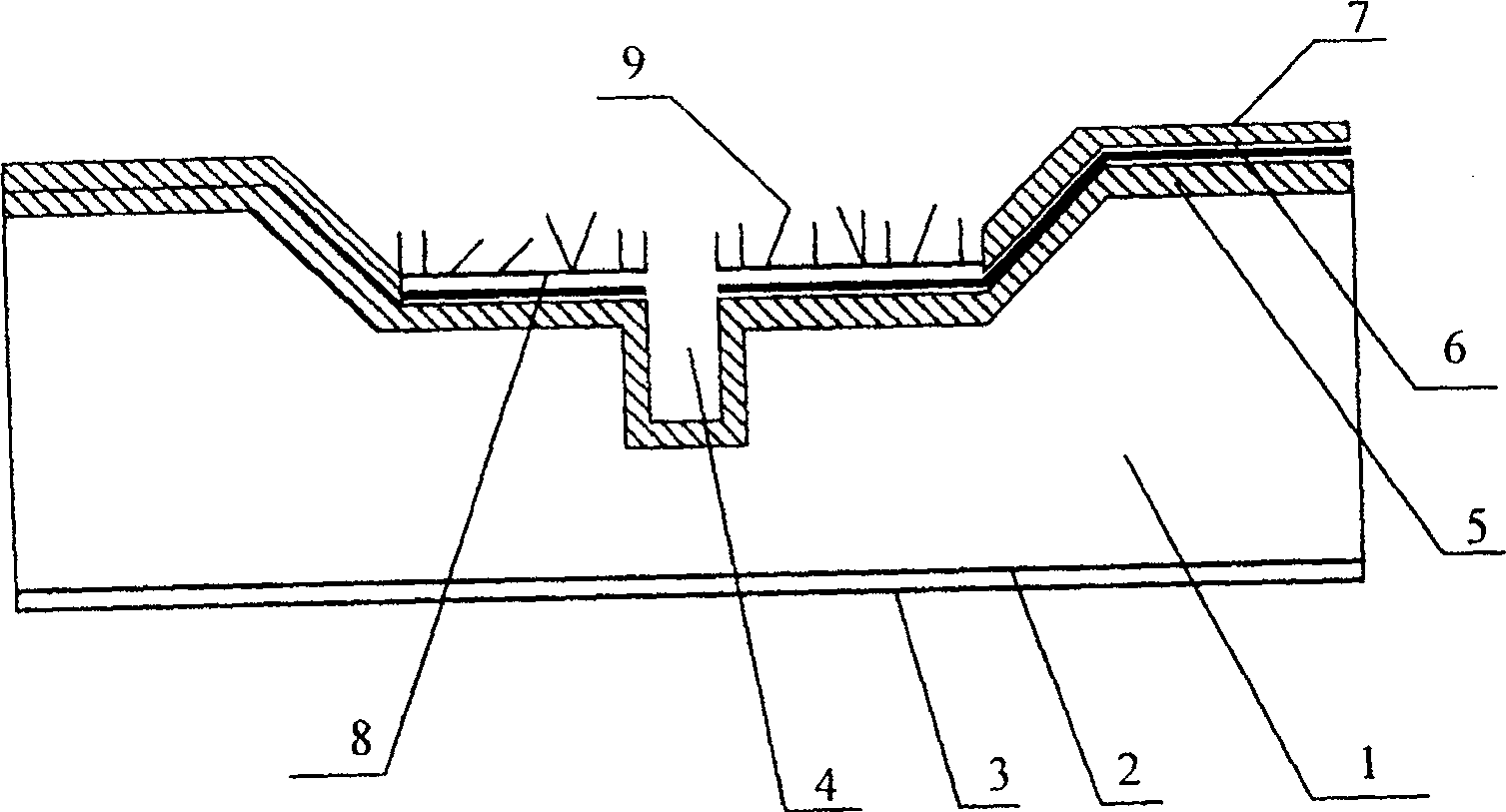 Flat panel display with integrated step type slot grid structure and its producing process