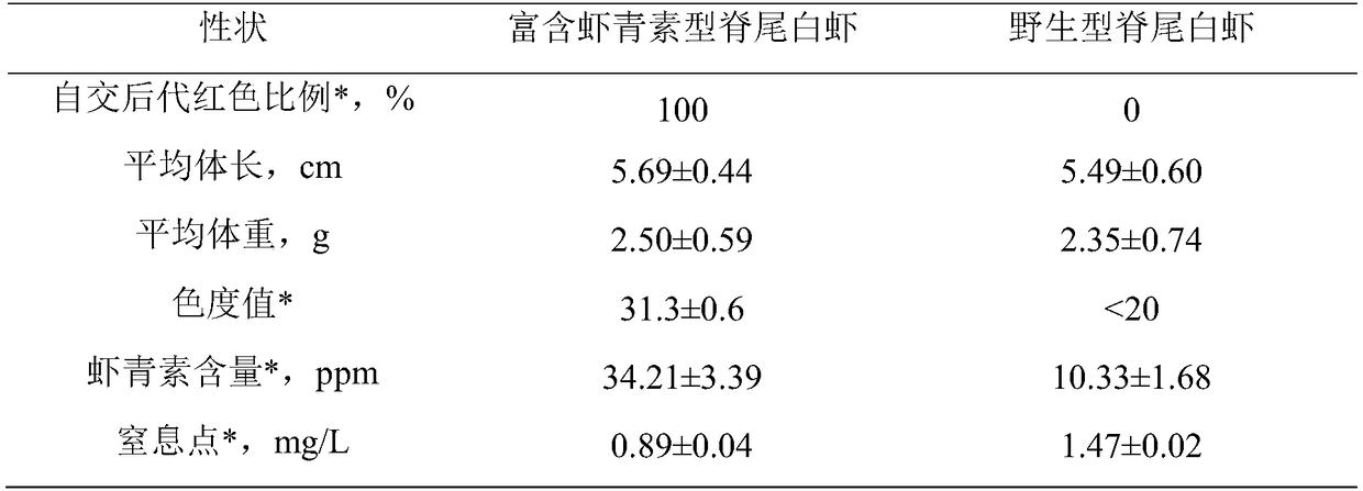 Breeding method of palaemon carinicauda rich in astaxanthin