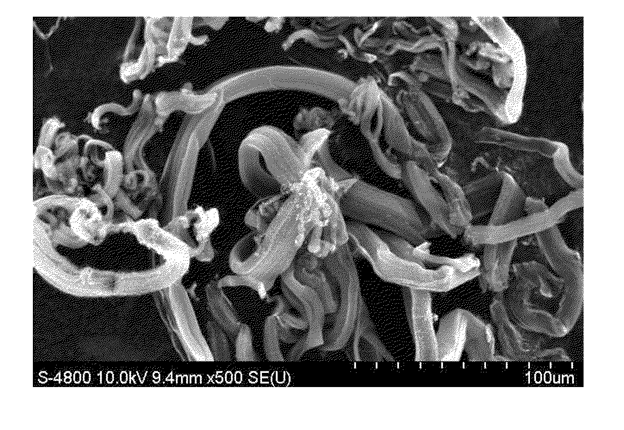 Metal Nano Catalyst, Method for Preparing the Same and Method for Controlling the Growth Types of Carbon Nanotubes Using the Same