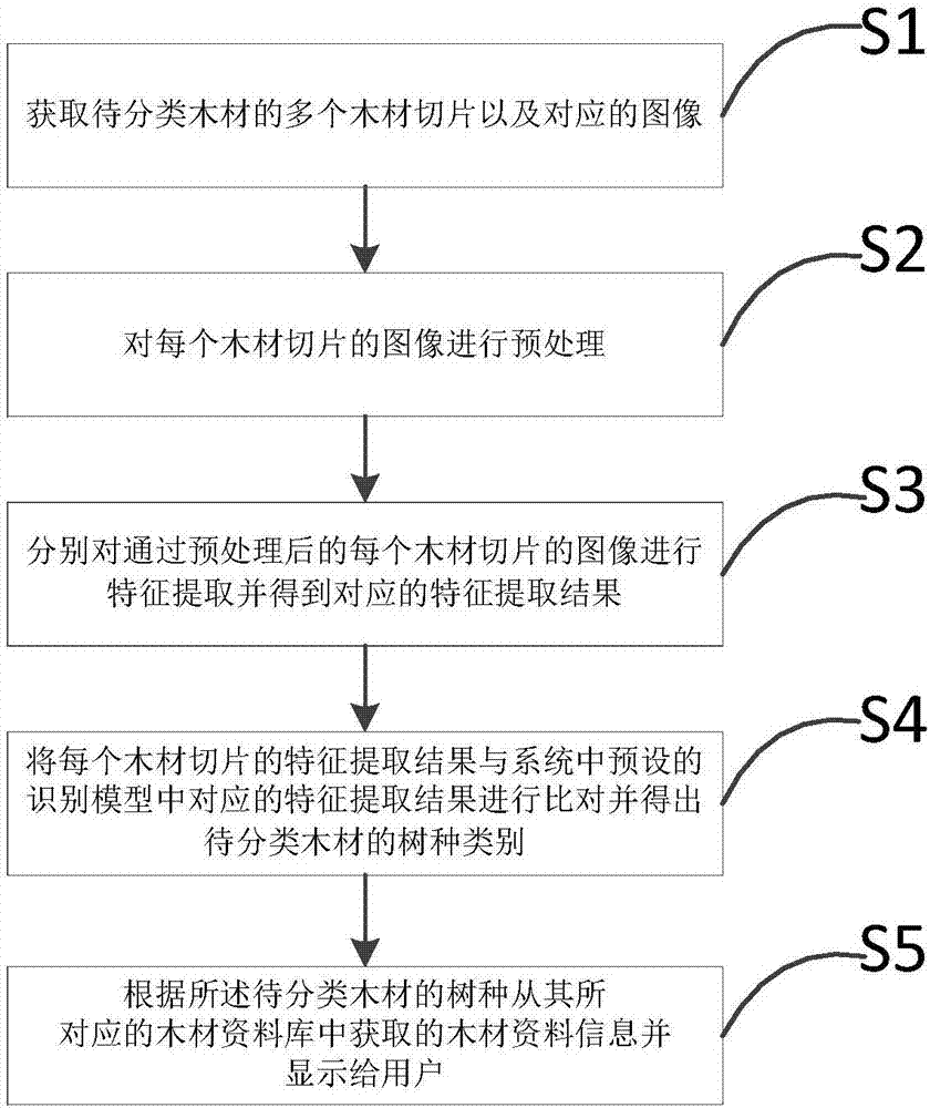 Wood species category identification method and system based on cell analysis