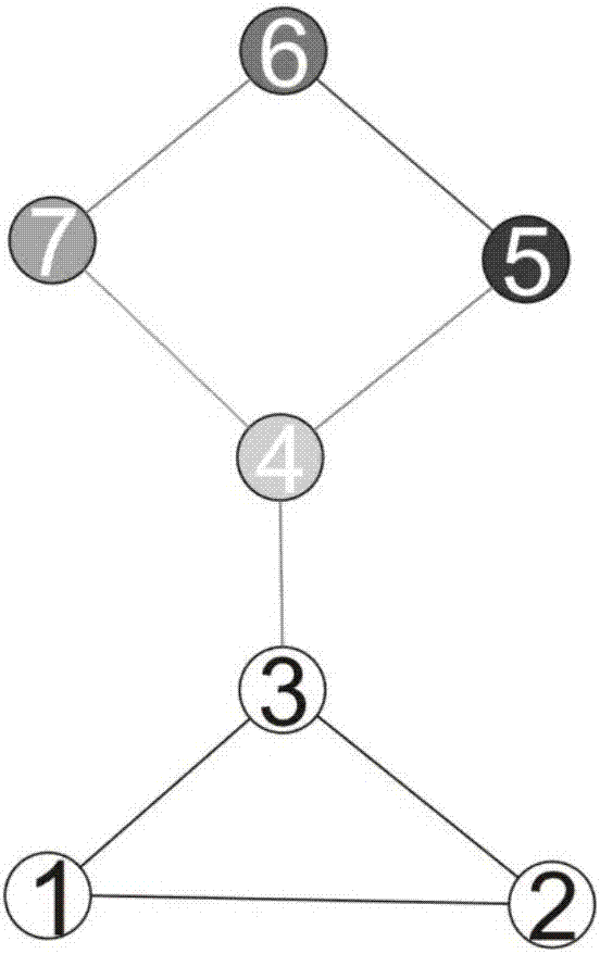 Community division method based on fireworks algorithm and local double rings