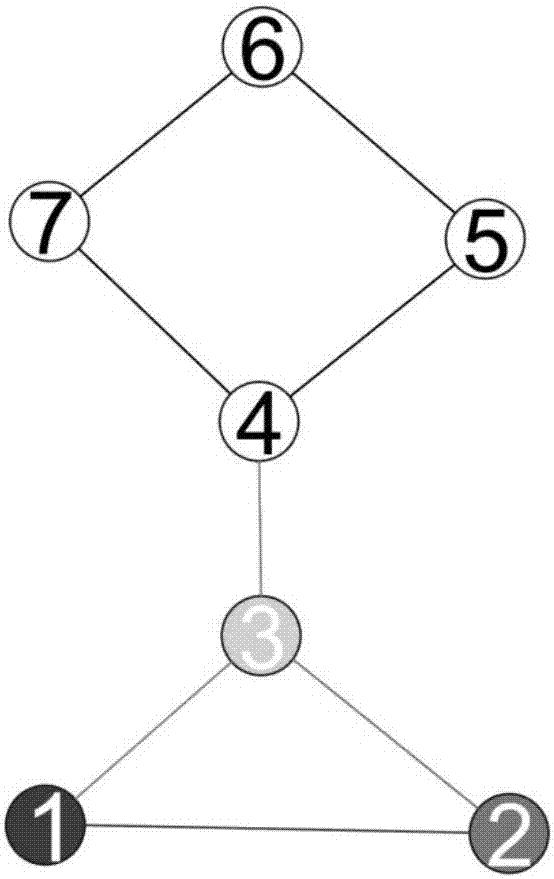 Community division method based on fireworks algorithm and local double rings