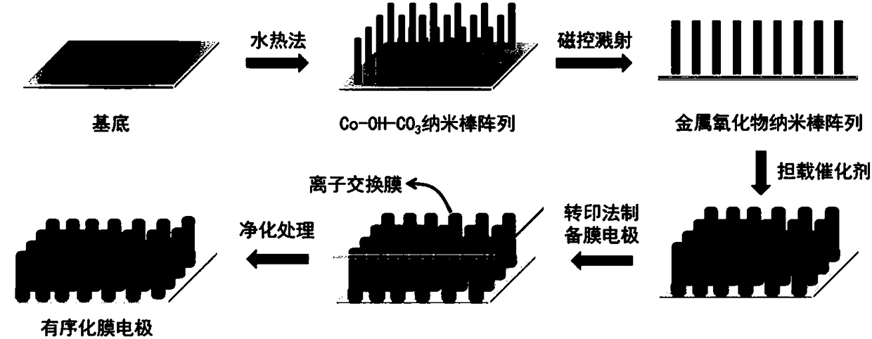 Ordered membrane electrode based on metal oxide nanoribbon as well as preparation and application thereof