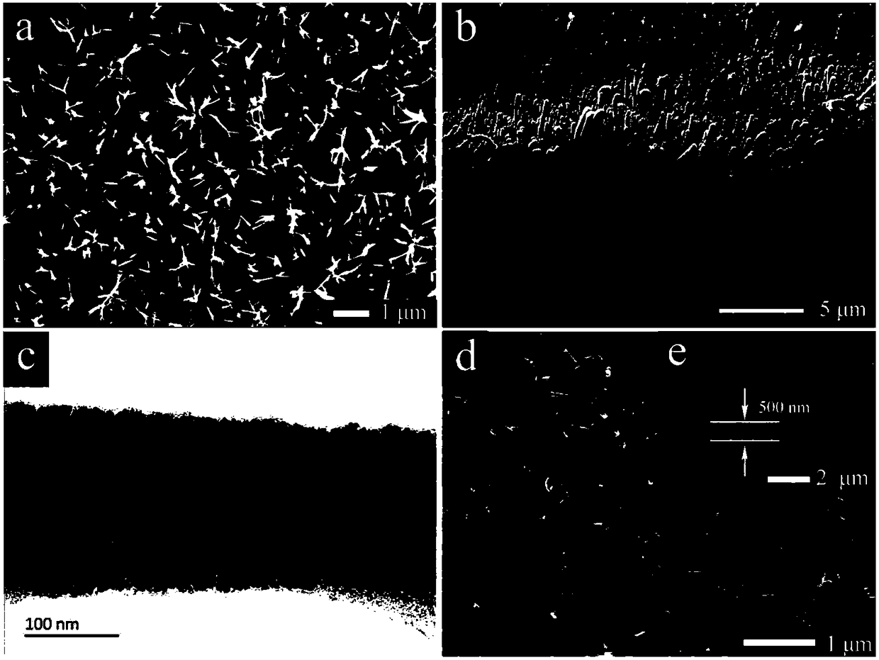 Ordered membrane electrode based on metal oxide nanoribbon as well as preparation and application thereof