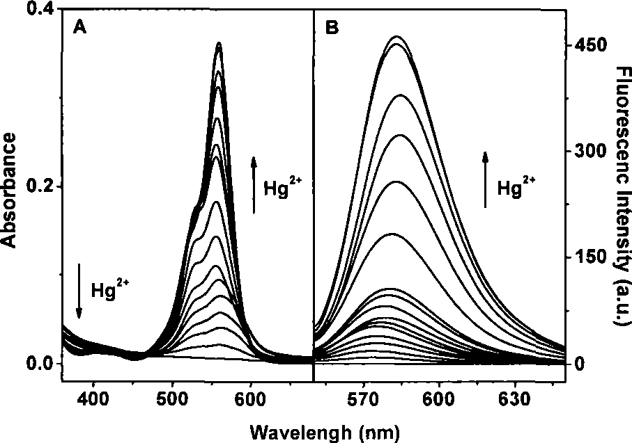 Thioester in rhodamine B as well as preparation method and application thereof