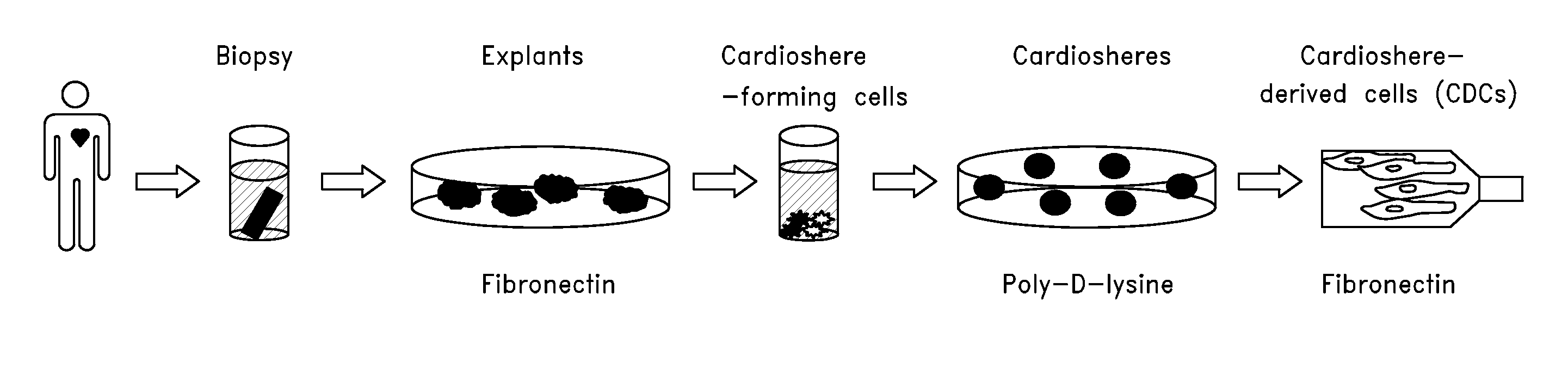 Systems and methods for cardiac tissue repair