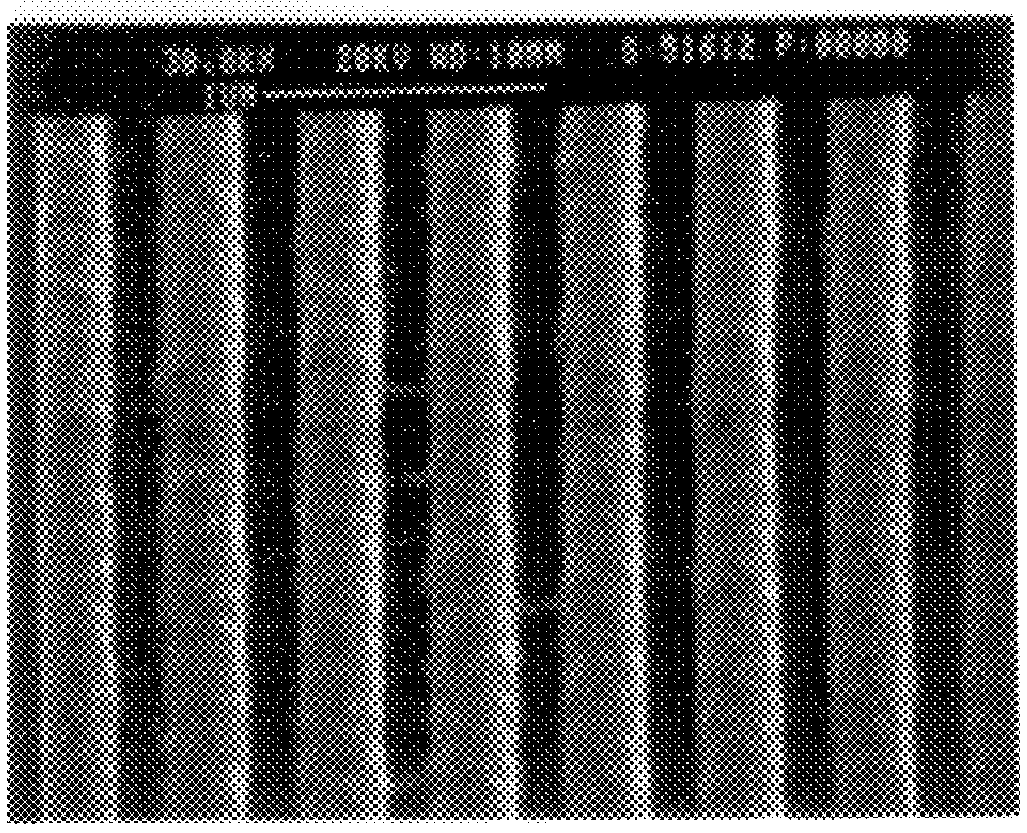 Lithographic mask and method for fabrication thereof