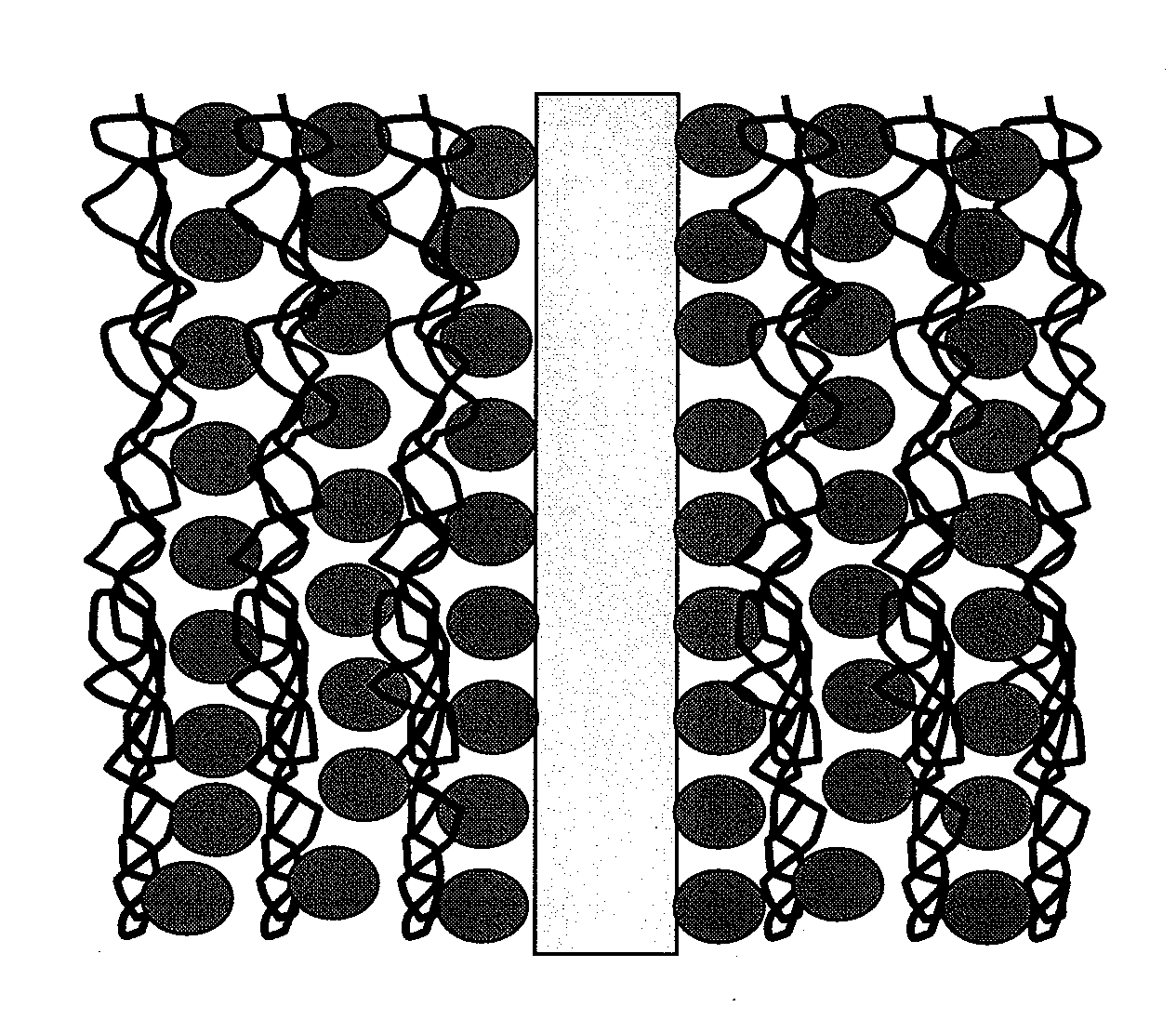 Process for Preparing Articles Having Anti-Fog Layer by Layer Coating and Coated Articles Having Enhanced Anti-Fog and Durability Properties