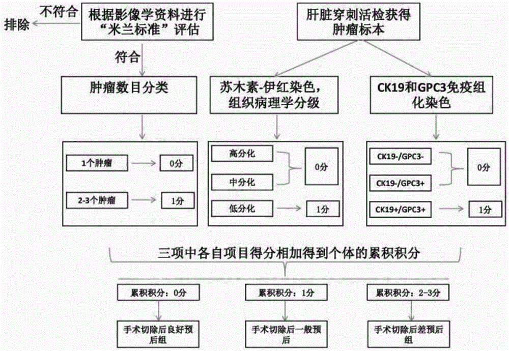 Grouping method and system for prognosis of radical operation of hepatocellular carcinoma for hepatocellular carcinoma patients and kit