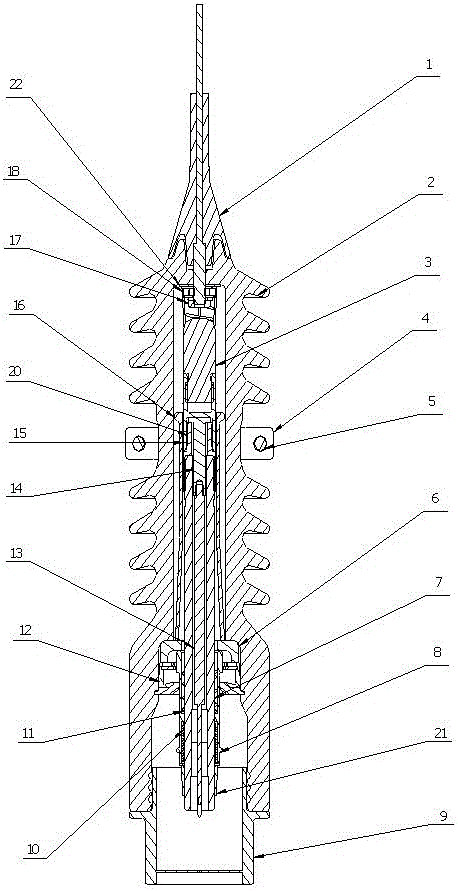 Full-insulation closed-type load fuse