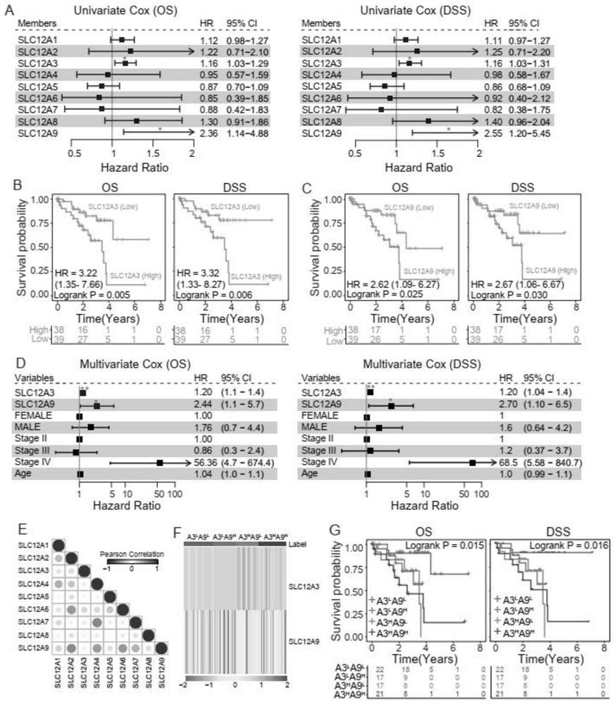 Prognostic risk scoring model for uveal melanoma and application of prognostic risk scoring model