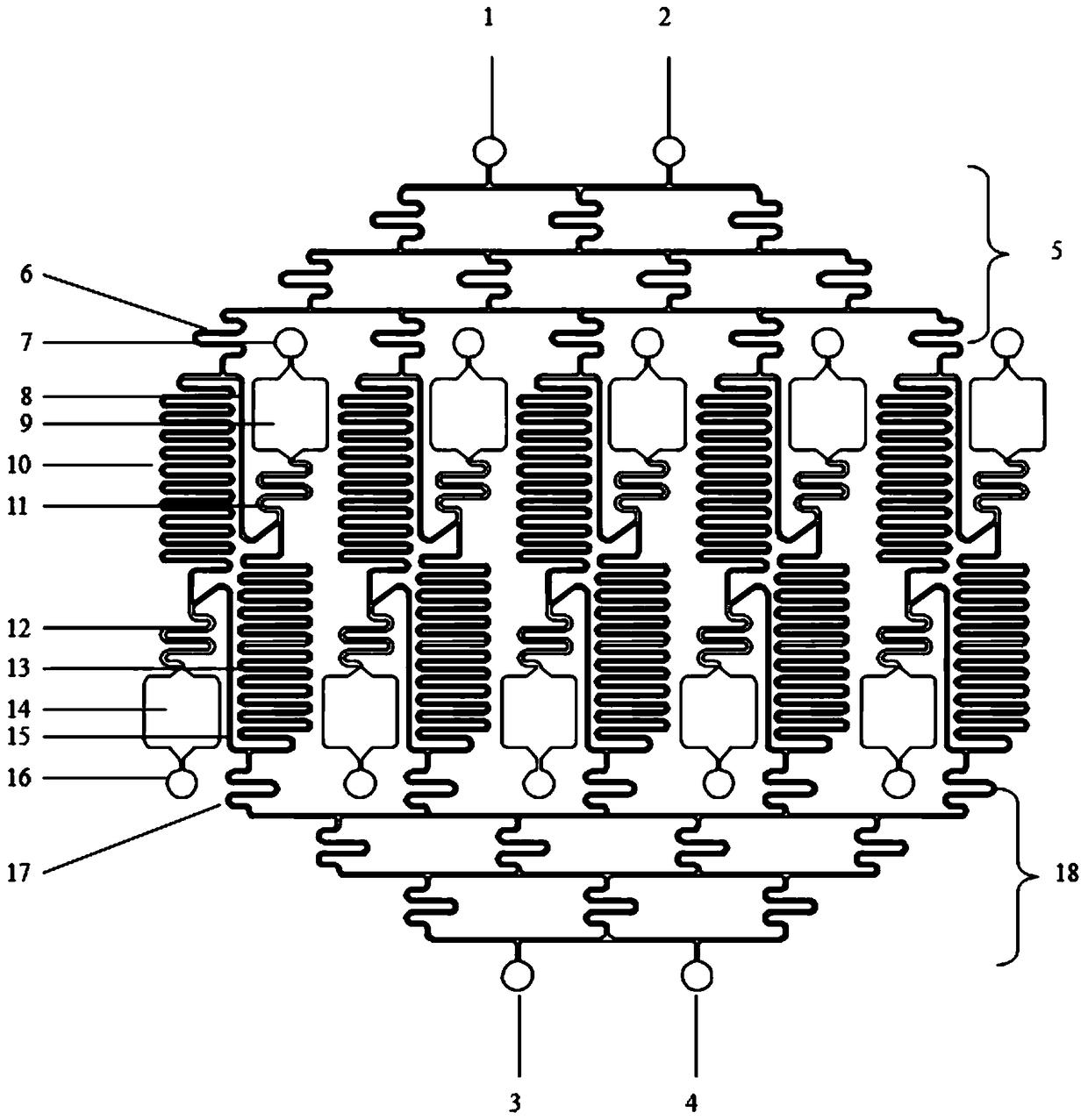 A kind of microfluidic chip and its preparation method and application